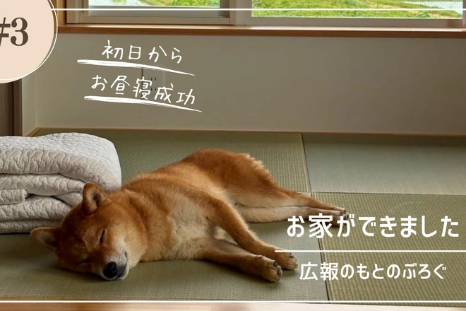 お家ができました-広報のもとのぶろぐ③-